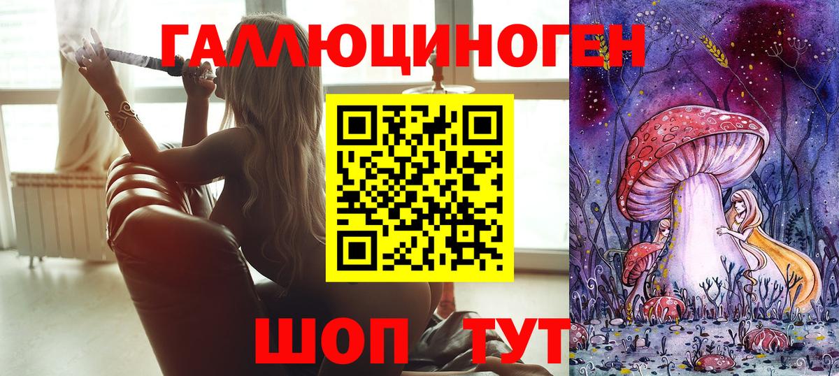 Галлюциногенные грибы Psilocybe Южноуральск
