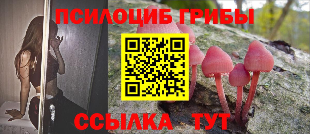 Южноуральск  Псилоцибиновые грибы MAGIC MUSHROOMS  Вход с VPN 